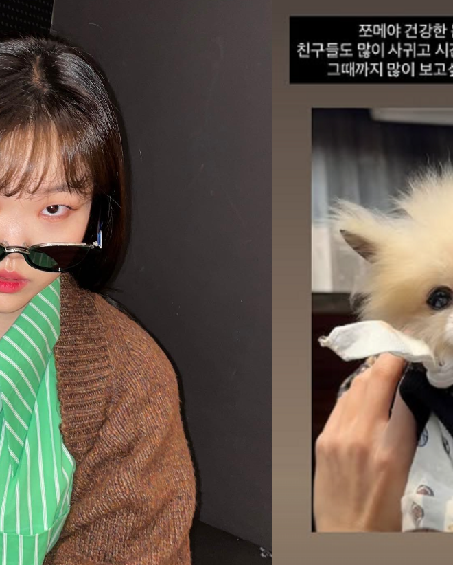 이수현, 반려견 '쪼메'와 가슴 아픈 이별..."많이 보고 싶을 거야"
