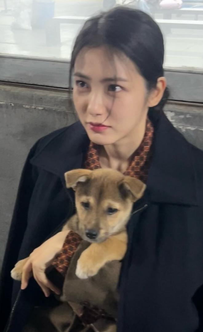 신예은, 귀여운 강아지 품에 안고 찰칵!..."종희를 지켜주는 멍뭉이"