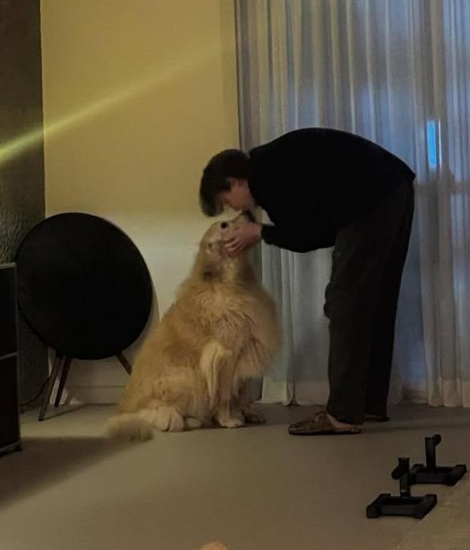 씨앤블루 이정신, 반려견 '심바'와 전한 달달한 근황..."우리 집 송아지"