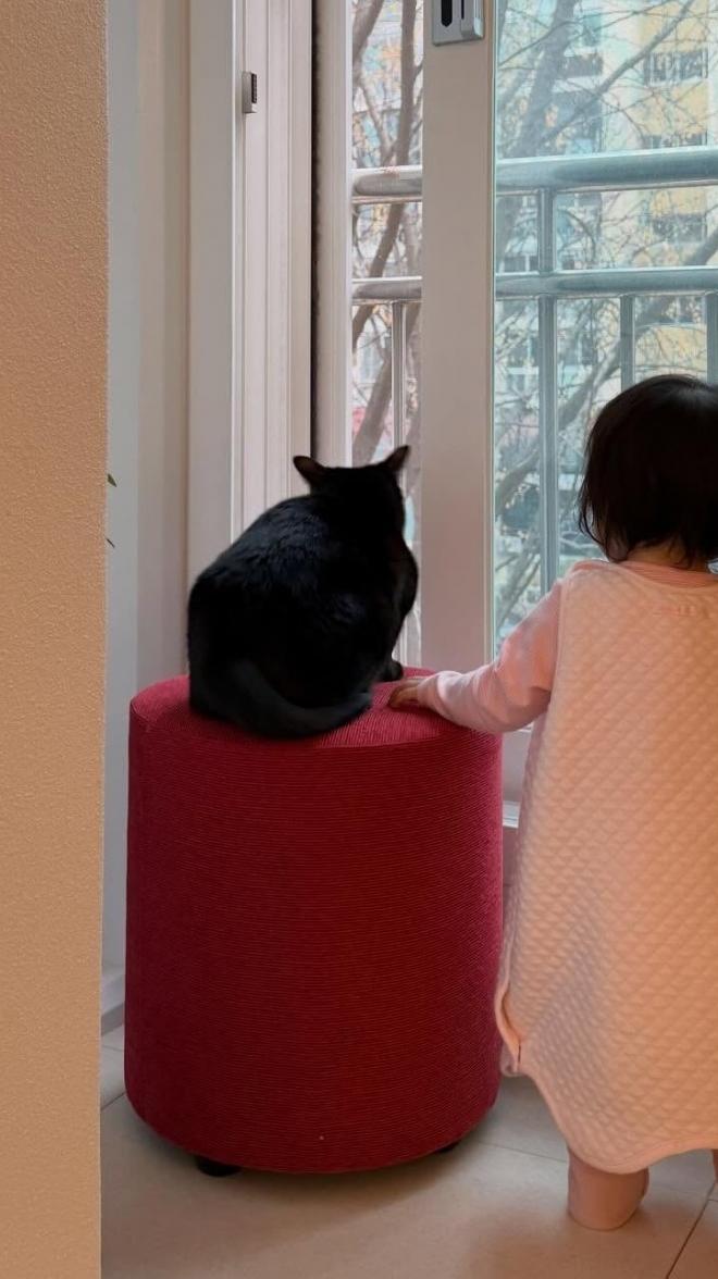 박수홍, 반려묘 '다홍이'♥딸과 함께하는 일상 공개..."창밖의 풍경도 함께 바라보고"