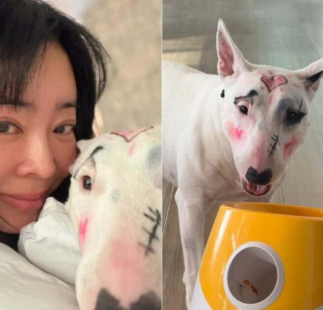 방송인 이혜영, 반려견에 낙서 같은 화장…‘동물 학대’ 논란