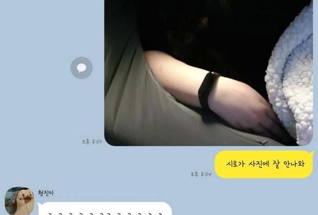 집사가 설명하는 '검은 고양이'의 치명적인 단점