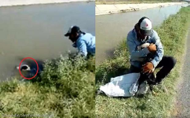 물에 떠내려가던 강아지 구해줬더니...'와락 안겨 뽀뽀 퍼부어'