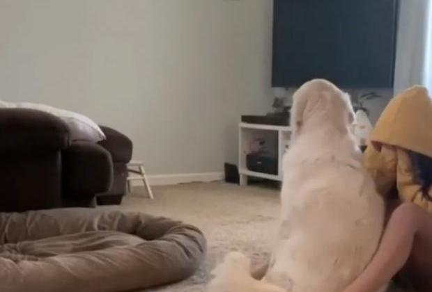 '불안장애' 엄마 꼭 껴안아준 리트리버...'최고의 위로'