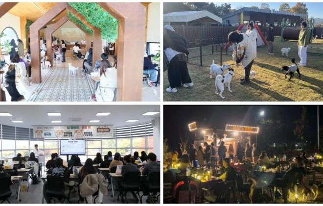 임실군, '유기 동물과 1박 2일 캠핑' 통해 반려 문화 활성화