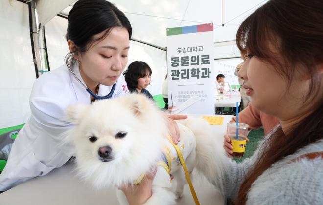 대전 동구, '2025 펫비트(PetBeat) 페스타' 성료