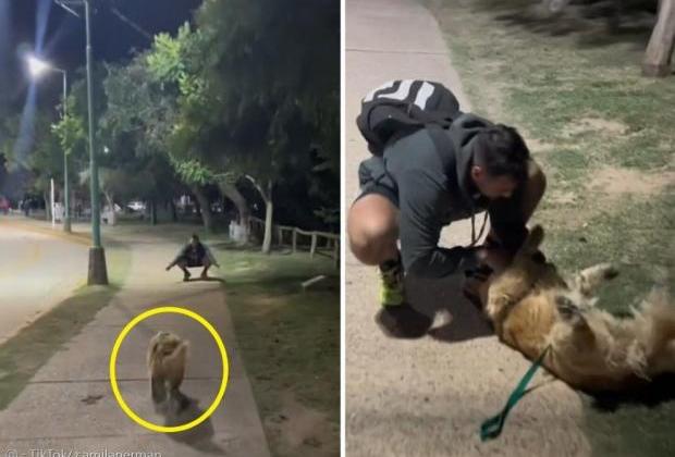 우연히 마주친 전남친에게 꼬리 치며 달려간 반려견..`'잊지 않았댕!'