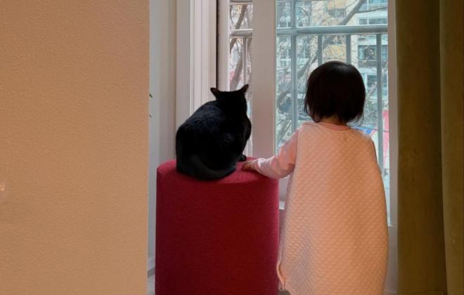 박수홍, 반려묘 '다홍이'♥딸과 함께하는 일상 공개..."창밖의 풍경도 함께 바라보고"