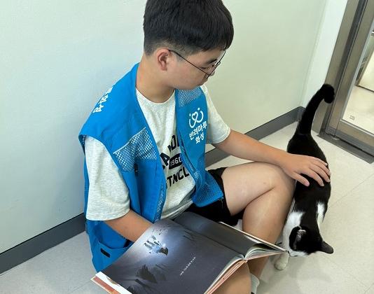 경기도, '2026년 반려동물 교감 활동 프로그램 수행사업자' 공개 모집