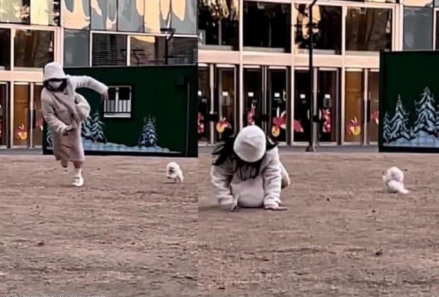 '사랑하면 닮는다더니..' 사이좋게 철퍼덕 넘어진 누나와 댕댕이