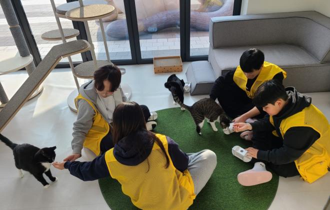 “유기동물과 따뜻한 겨울나기” 경기도, 겨울방학 청소년 자원봉사 운영