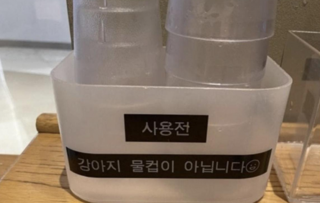 스타벅스의 경고? '강아지 물컵이 아닙니다'