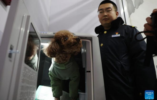 중국, 춘절 귀향길 반려동믈과 함께...'반려동물 명절굿즈'도 불티