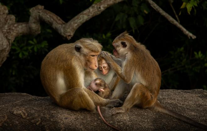 소니 월드 포토그래피 어워드 2026년 학생 및 청소년 대회 최종 후보작