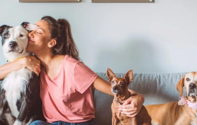 반려동물 사랑의 날 - 2월 20일