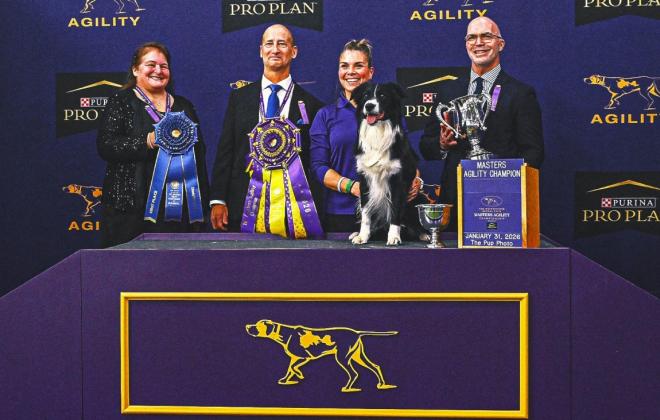 제 13회 마스터스 어질러티 최종 챔피언,  보더콜리 '프루브잇(Prove-it)'