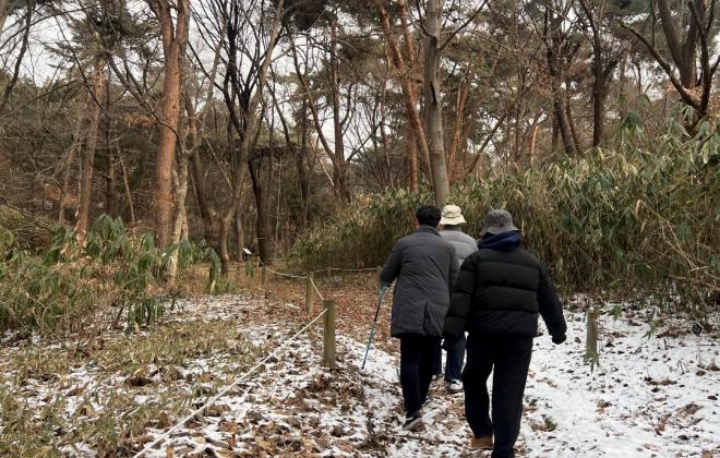 “등산·숲길걷기, 정신질환 위험 10% 낮춘다”...건보공단 3.2만명 4년 추적 결과