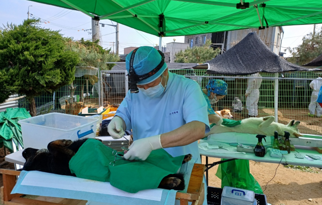 경기도, ‘찾아가는 동물보호시설 진료활동 지원’