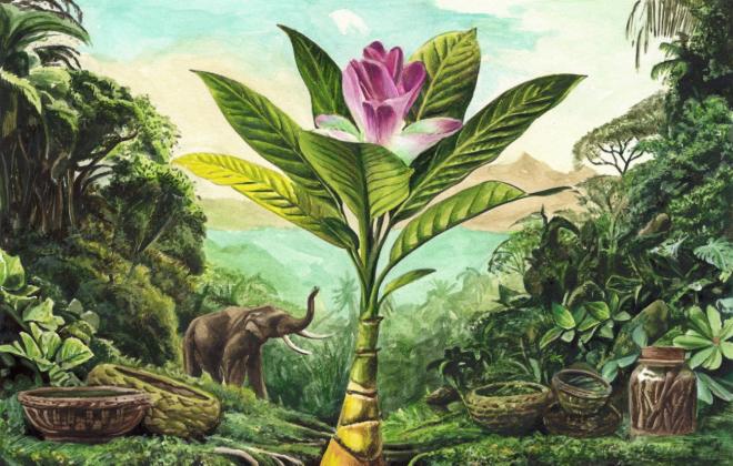 세계 야생동물의 날 국제 청소년 미술 대회 대상 한국의 15세 소녀 유 지아 