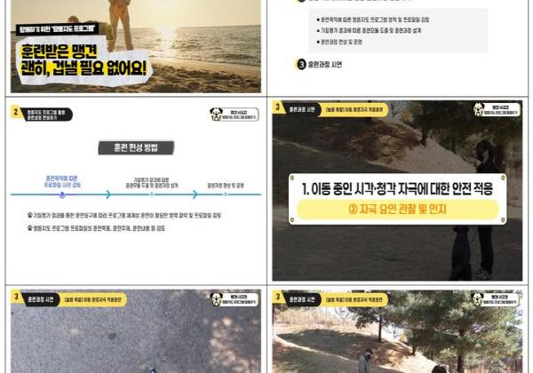 농식품부, 맹견 및 개물림 사고견 행동지도 프로그램  보급