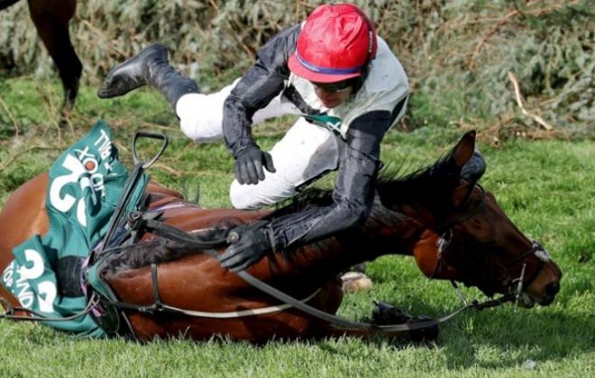 "경마는 피로 물든  스포츠"...그랜드 내셔널 (Grand National)이 이를 증명한다