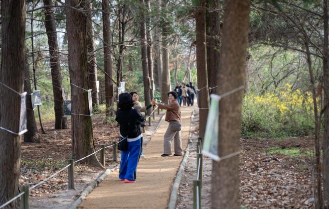 홍릉숲 전면 개방 이후 무단 채취 훼손 등 생태계 파괴...성숙한 시민의식 필요