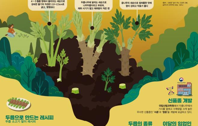 산림청, 5월 이달의 임산물로 ‘두릅’ 선정