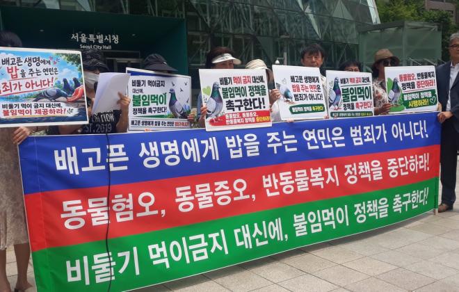 동물보호단체, 비둘기 먹이주기 금지 대신, 불임먹이 정책 촉구