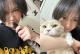 강지영, 반려묘 '고트♥니니'와 전한 반가운 근황..."Life with cats"