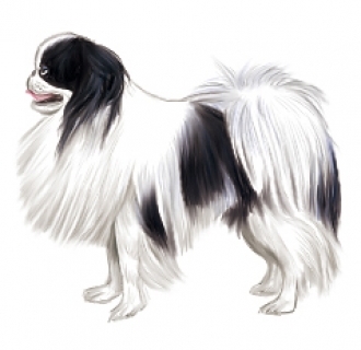 친