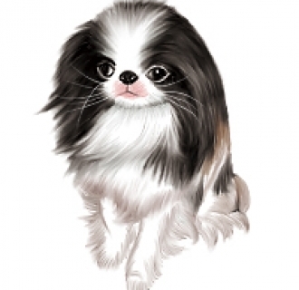 친
