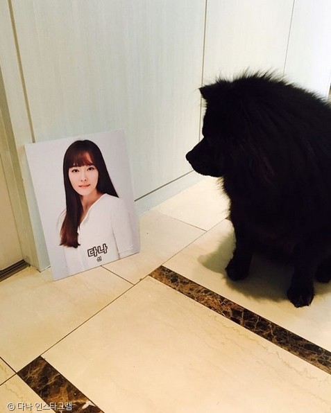노트펫