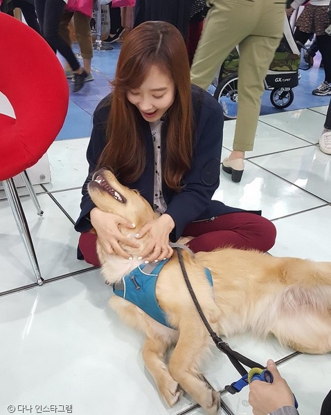 노트펫