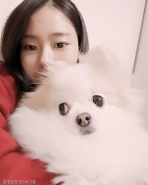 노트펫