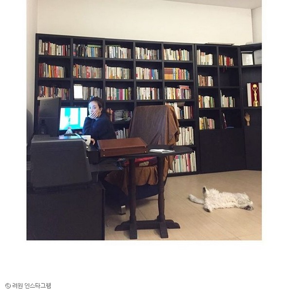 노트펫