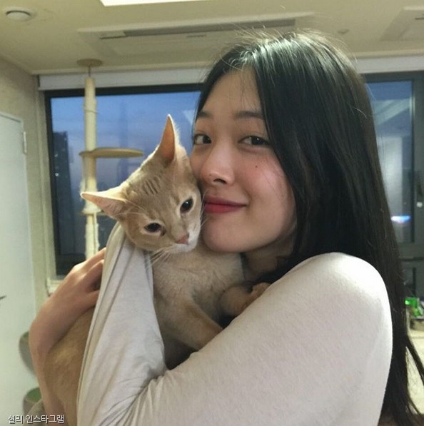노트펫