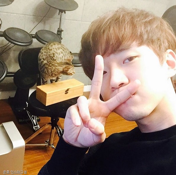 노트펫