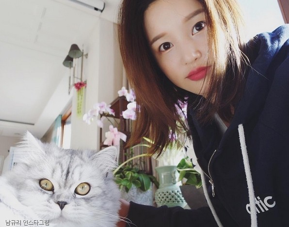 노트펫