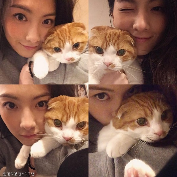 노트펫