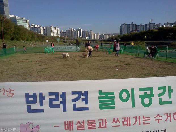 더디자인성형외과의원 이미지