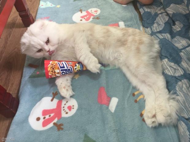 돈맛 이미지