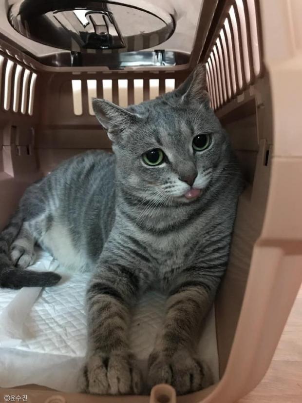 범벅 이미지