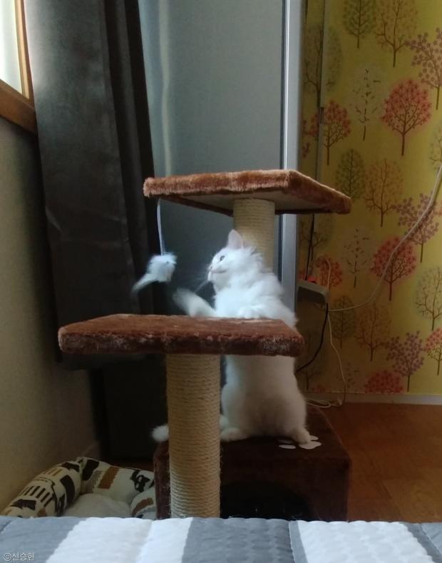 승현인쇄 이미지