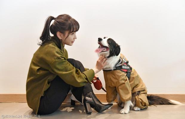 아라에너지 이미지