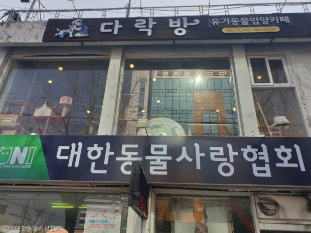 카페.안 이미지