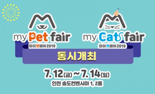 마이팀페어스 이미지