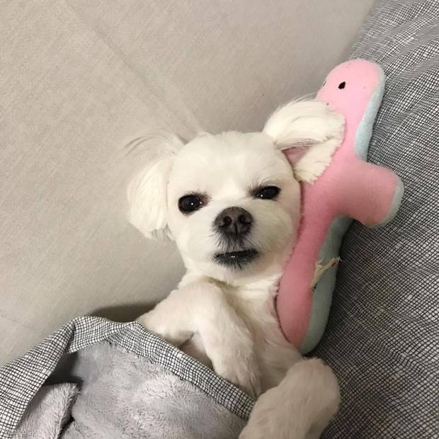 개신남 이미지