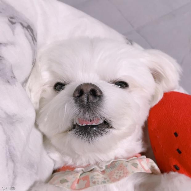 개신남 이미지