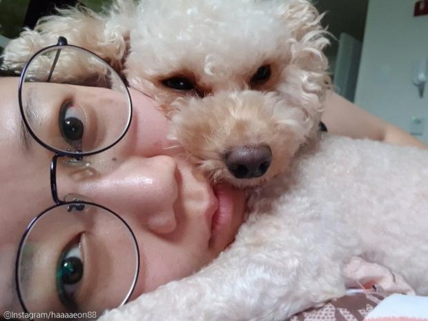 사과꽃치과의원 이미지
