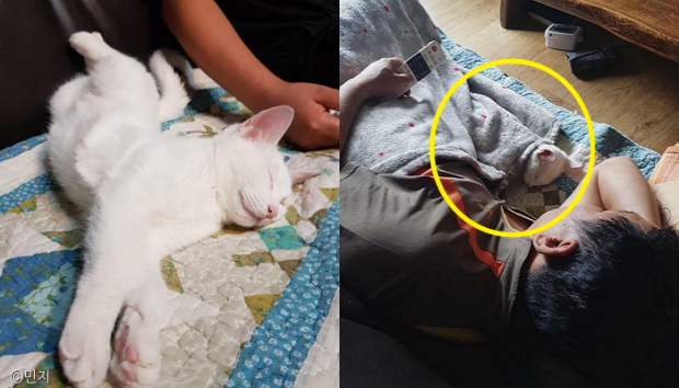바른이불 이미지